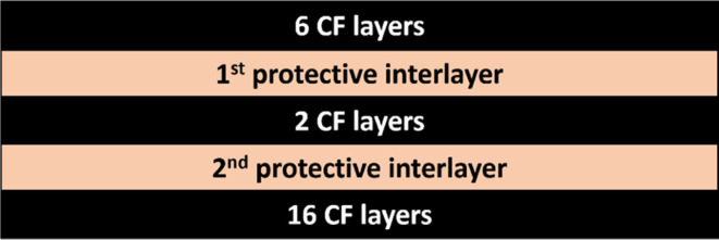 PMC11154947 – fig1
