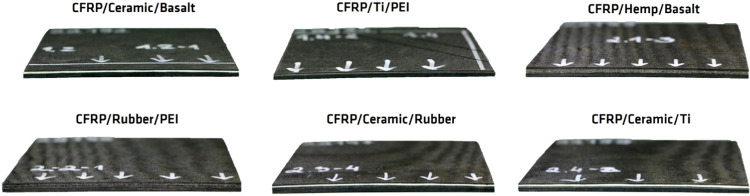 PMC11154947 – fig2