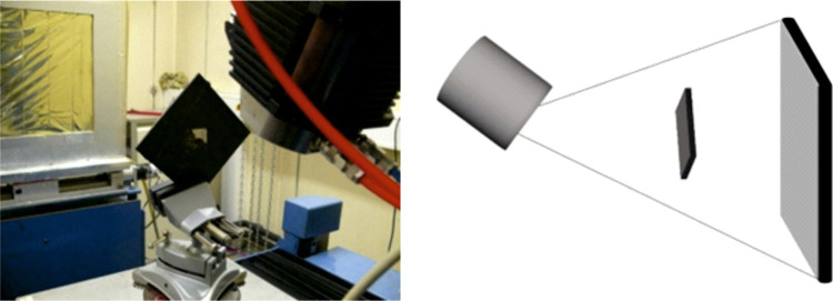 PMC11154947 – fig4