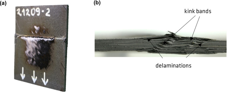 PMC11154947 – fig6
