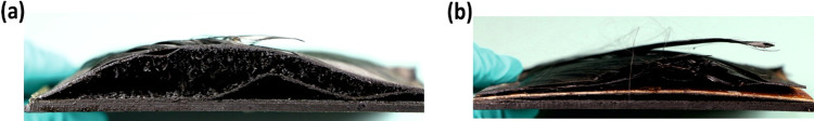 PMC11154947 – fig8