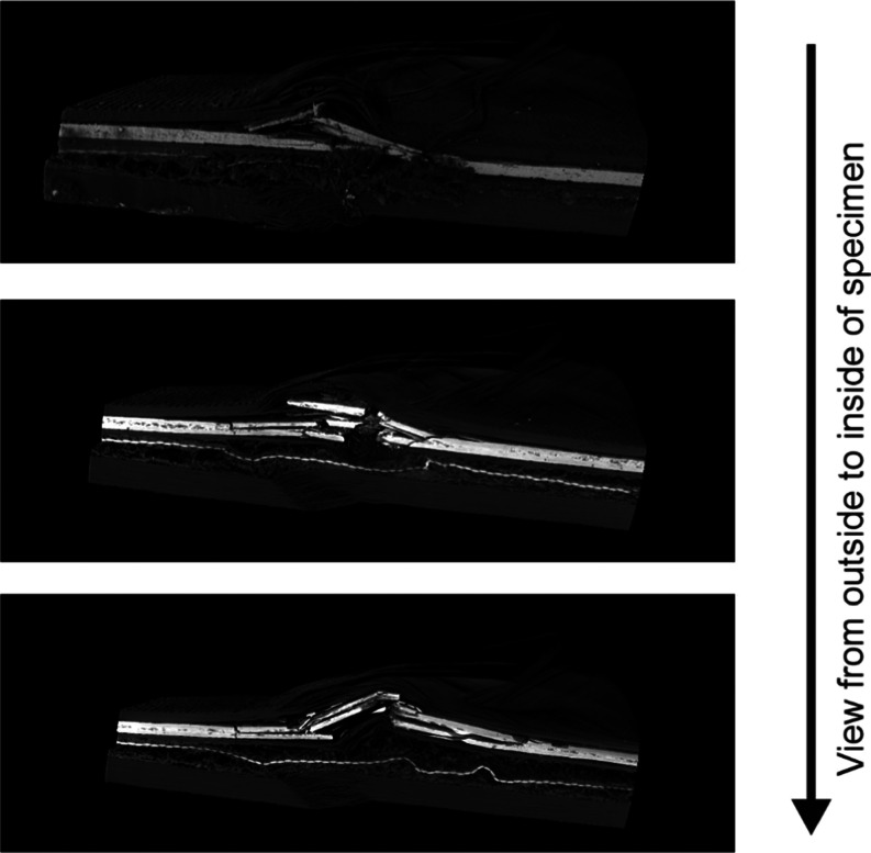PMC11154947 – fig9