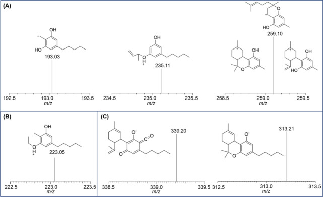 PMC12676500 – fig4