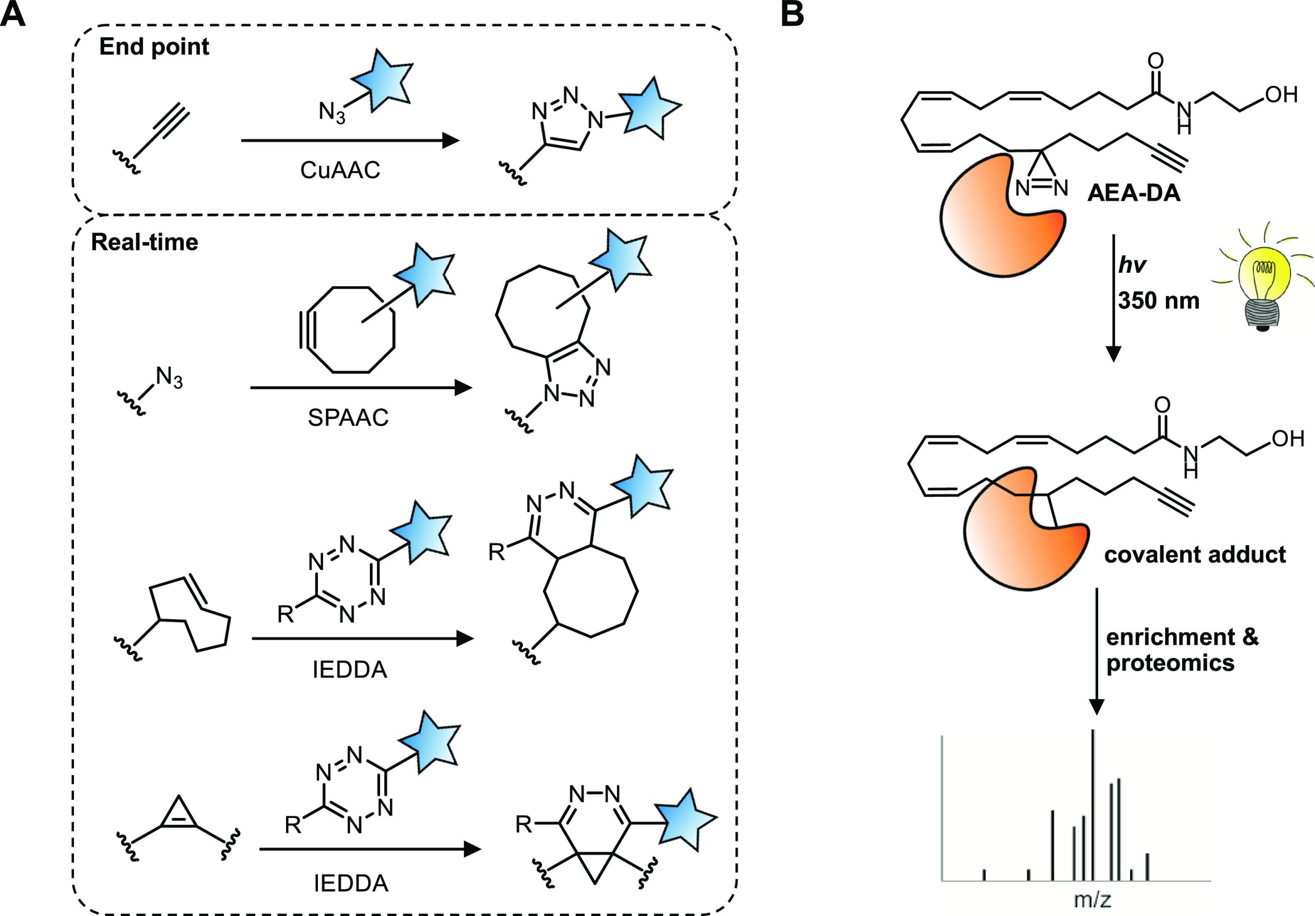 PMC9670861 – fig4