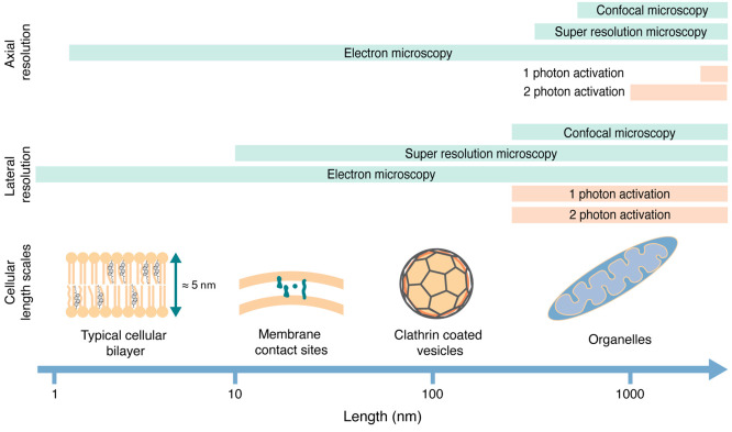 PMC10077588 – fig1