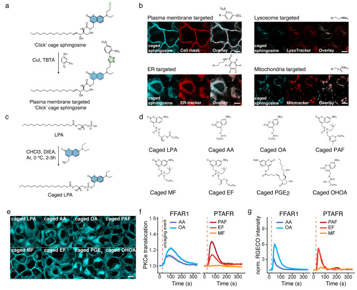 PMC10077588 – fig3