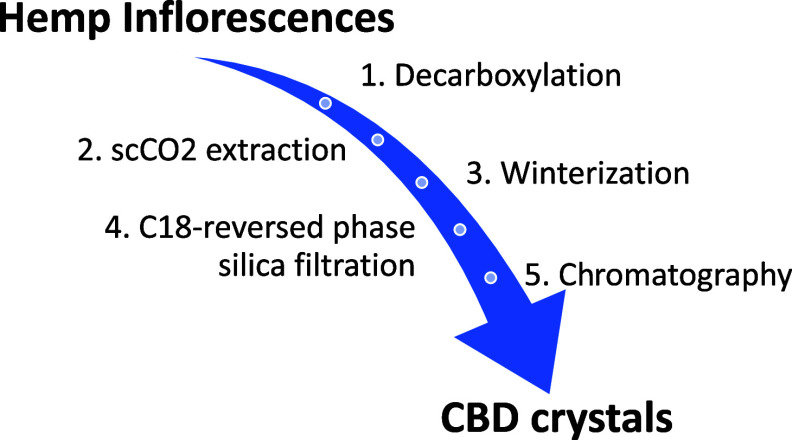 PMC11921148 – fig1