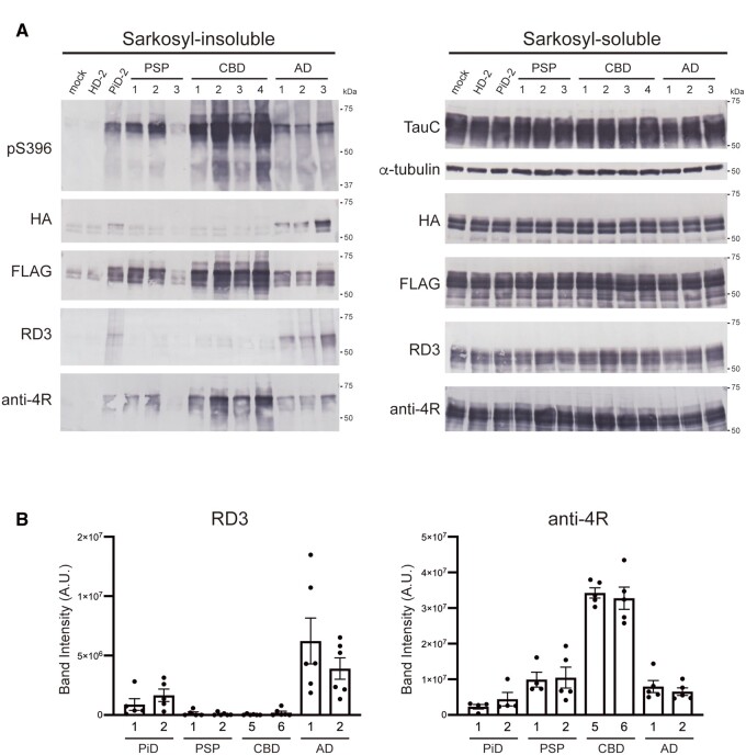 PMC8418341 – awab091-F4