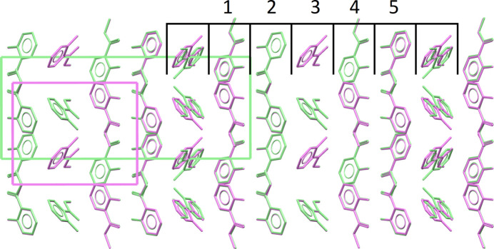 PMC11789161 – fig6