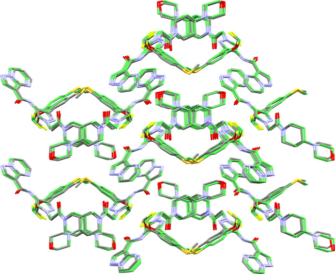 PMC11789161 – fig9