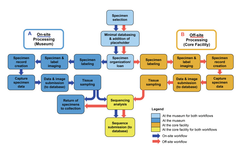 PMC10848567 – F7720553