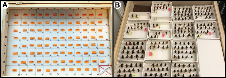 PMC10848567 – F7720557