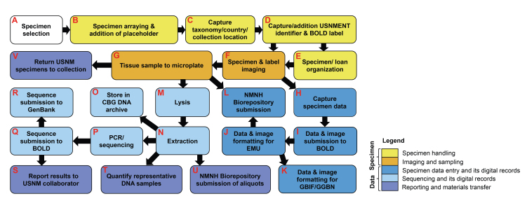 PMC10848567 – F7720561