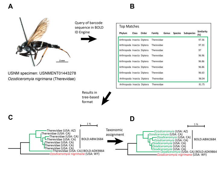 PMC10848567 – F7720588