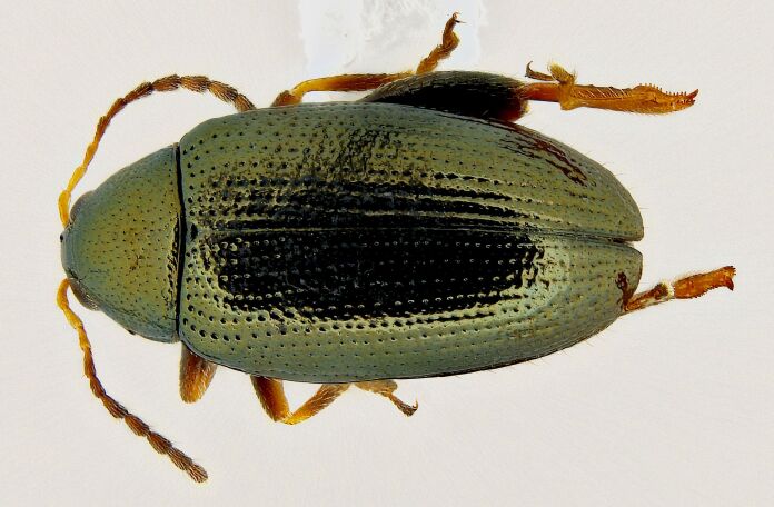 PMC11249851 – F10457290