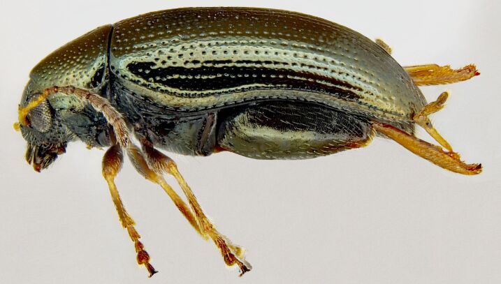 PMC11249851 – F10457291