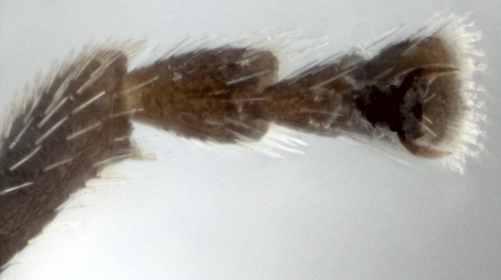 PMC11249851 – F10457294