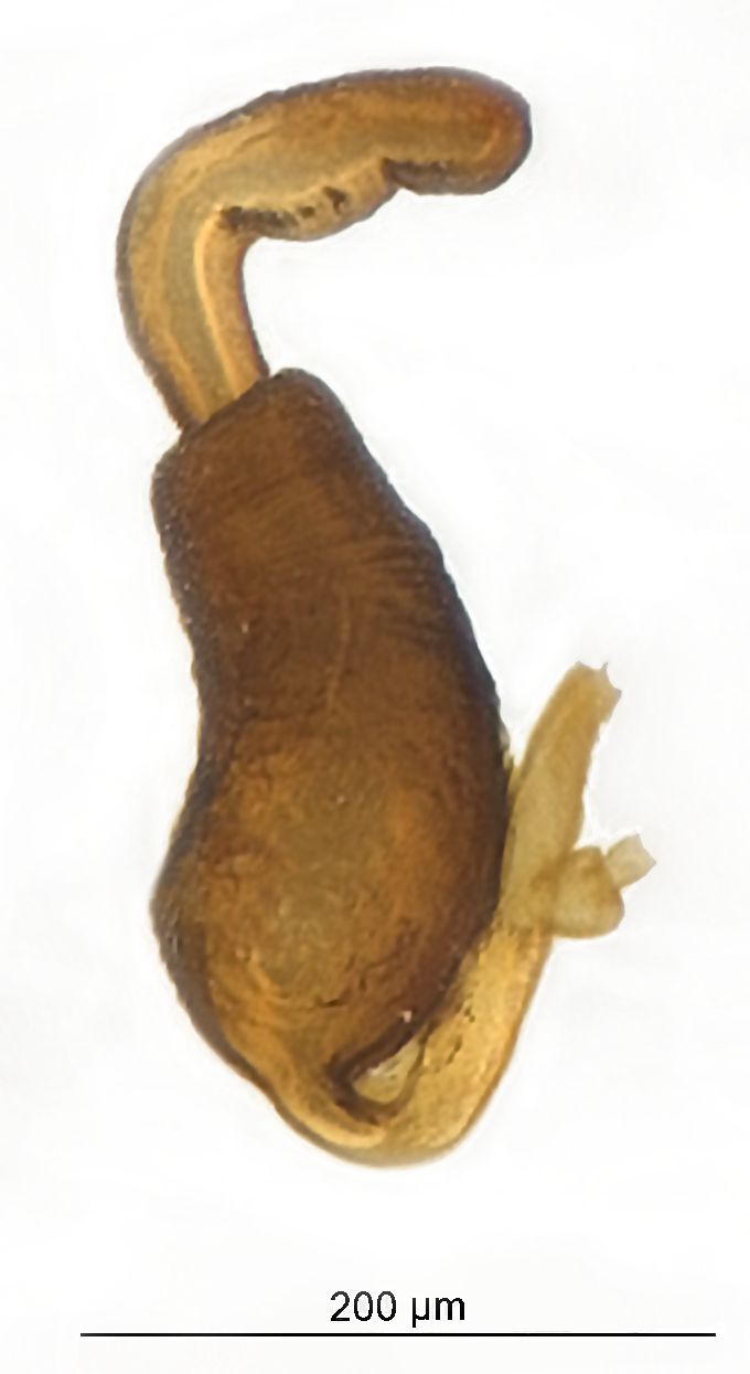 PMC11249851 – F10457326