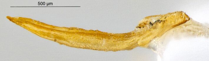 PMC11249851 – F10457328