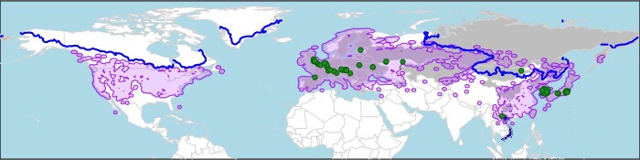 PMC11249851 – F11049194
