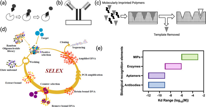 PMC12951243 – fig3