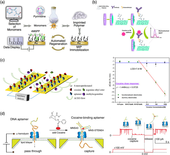 PMC12951243 – fig4