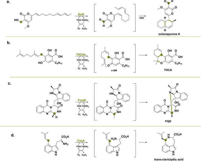 PMC11375781 – sch3