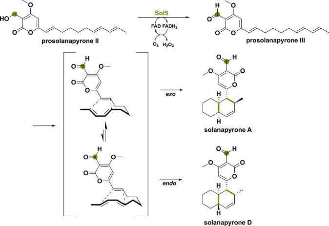 PMC11375781 – sch4
