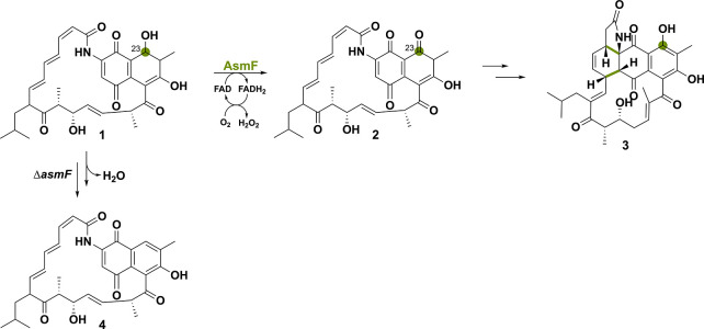 PMC11375781 – sch6
