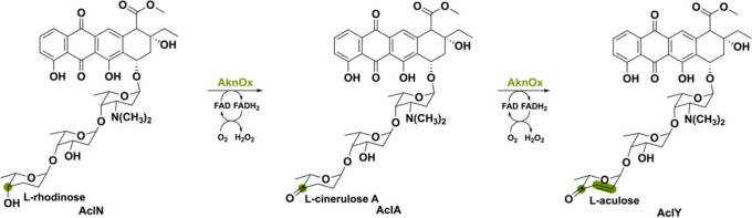 PMC11375781 – sch12