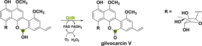 PMC11375781 – sch15