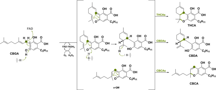 PMC11375781 – sch16