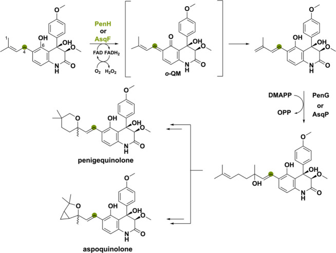 PMC11375781 – sch19