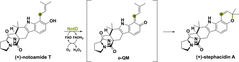 PMC11375781 – sch20