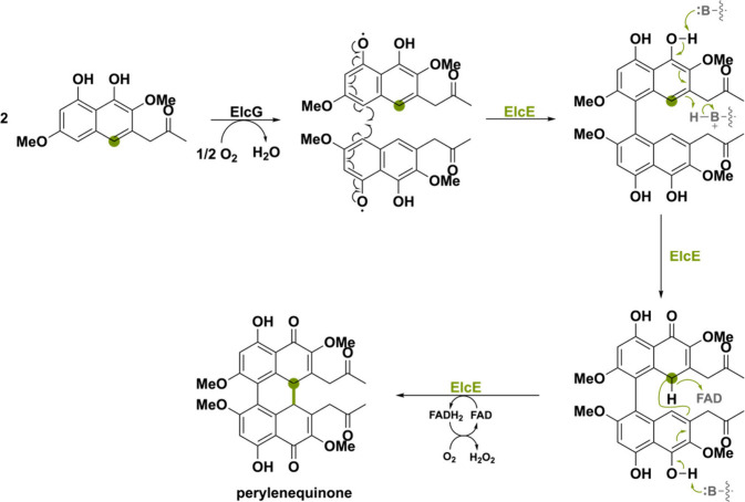 PMC11375781 – sch21