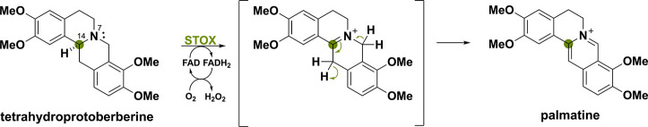 PMC11375781 – sch23