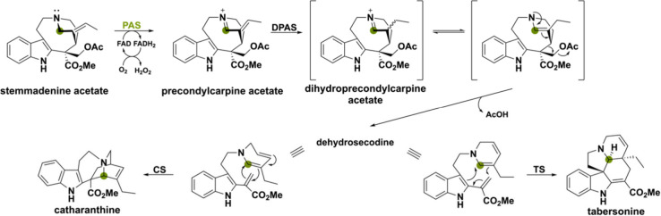 PMC11375781 – sch24