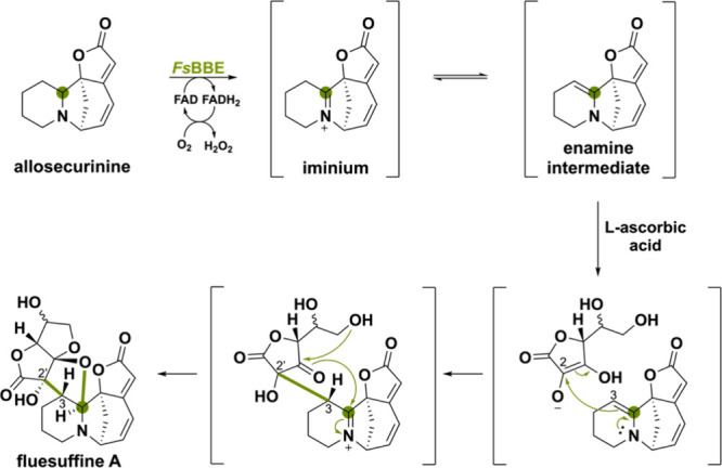 PMC11375781 – sch25