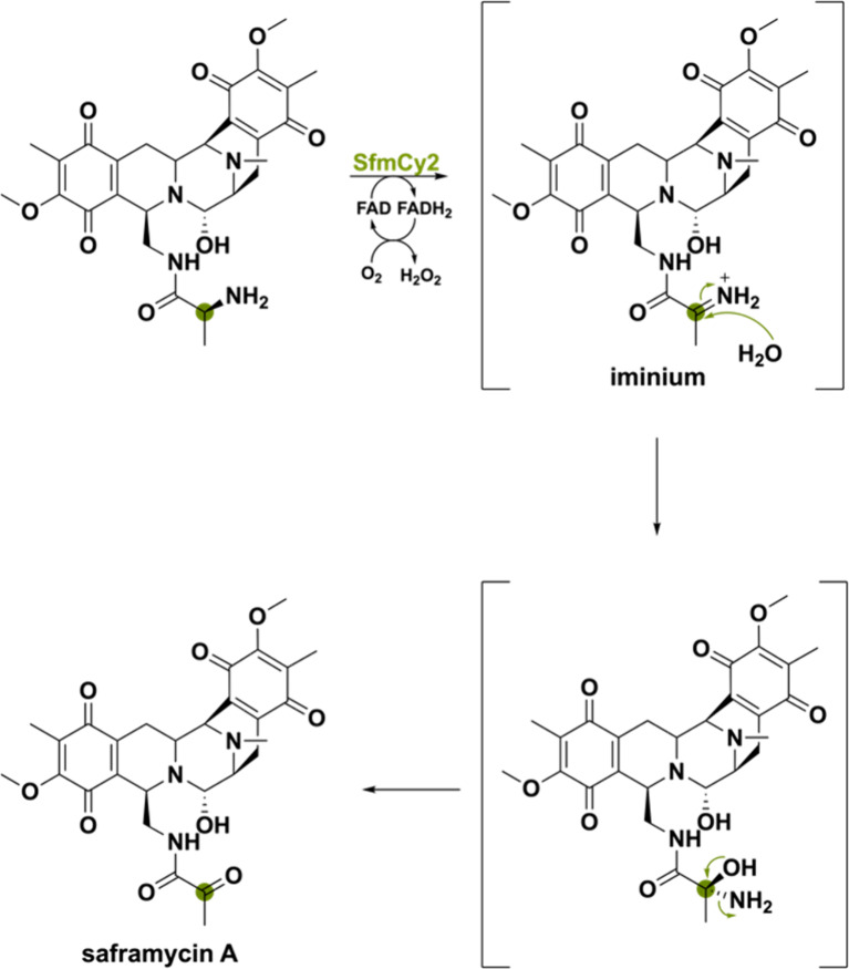 PMC11375781 – sch26