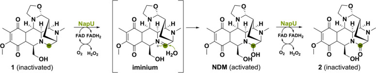 PMC11375781 – sch27