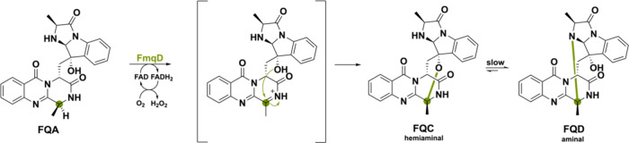 PMC11375781 – sch28