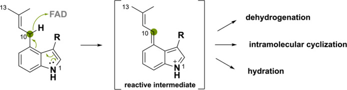 PMC11375781 – sch29