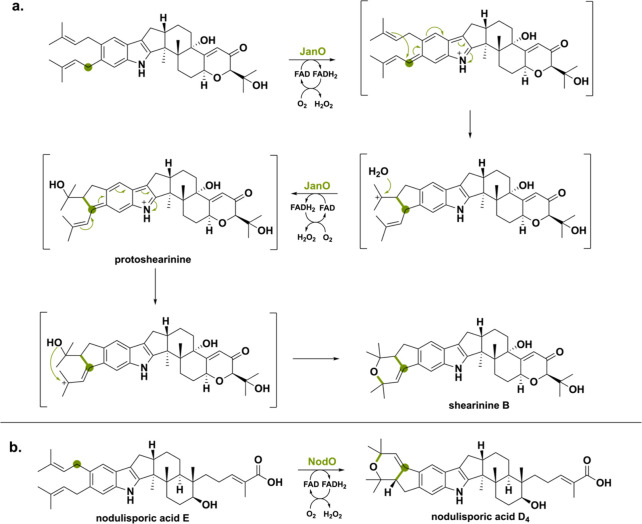 PMC11375781 – sch32