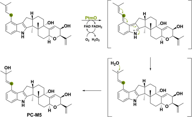 PMC11375781 – sch33