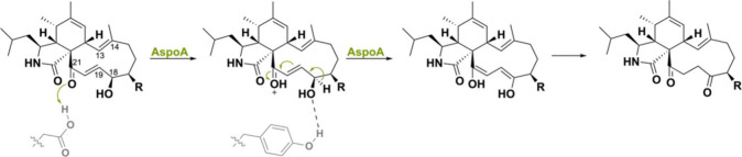 PMC11375781 – sch35