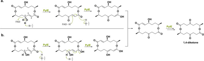 PMC11375781 – sch36