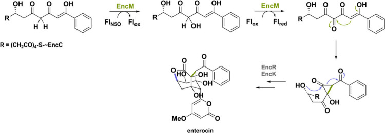 PMC11375781 – sch37