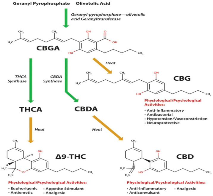 PMC9404914 – bioengineering-09-00364-f002