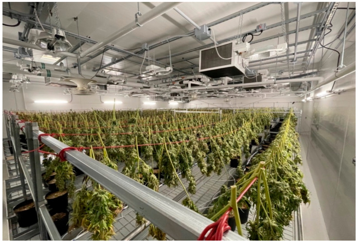 PMC9404914 – bioengineering-09-00364-f004