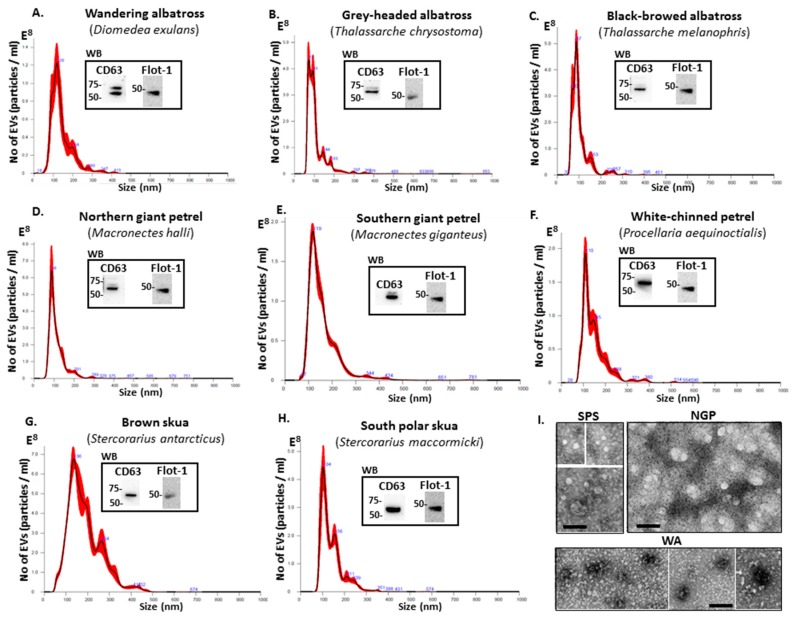 PMC7168935 – biology-09-00015-f001